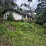 IMG_20251028_155448600_HDR