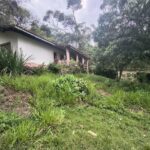 IMG_20251028_155455388_HDR