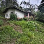 IMG_20251028_155542969_HDR