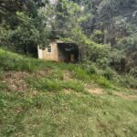 IMG_20251028_155609975_HDR