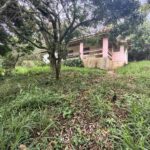 IMG_20251028_155625964_HDR