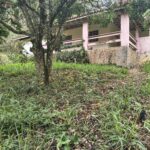 IMG_20251028_155629192_HDR